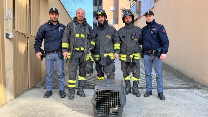 Polizia e vigili