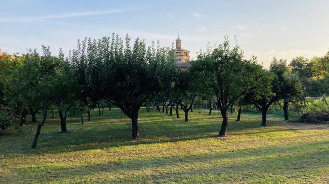 Coltivare tradizioni 2023