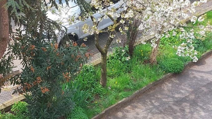 Stanchezza di primavera