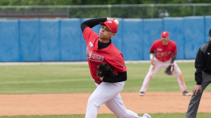 piacenza baseball