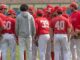 piacenza baseball