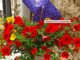 Borgo in fiore Caminata 18 giugno