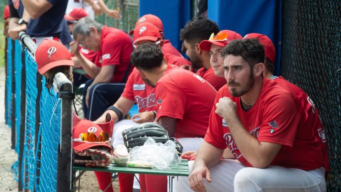 piacenza baseball