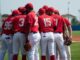 piacenza baseball