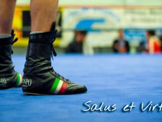 Boxe d'estate con la Salus Et Virtus