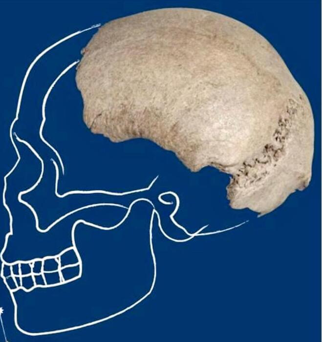 homo sapiens fiume Po