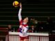 pallavolo alsenese