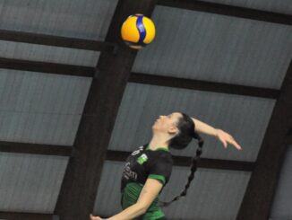 pallavolo alsenese
