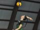 pallavolo alsenese