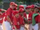 piacenza baseball