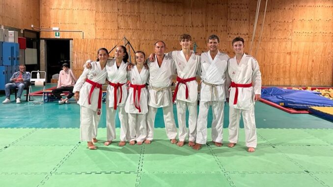 karate piacenza