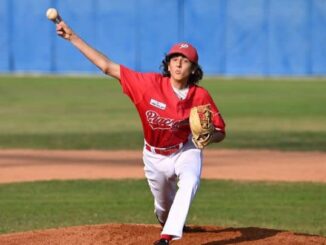 piacenza baseball