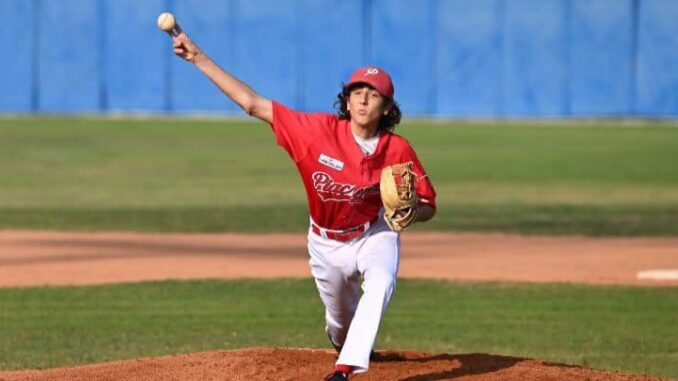 piacenza baseball