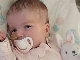 Addio-alla-piccola-Indi-la-nota-del-Presidente-UGCI-Piacenza