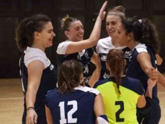 miovolley