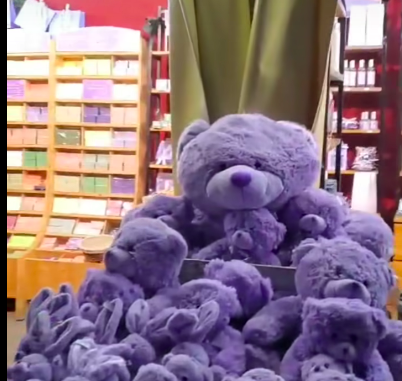 Eventi a Piacenza fino 10 dicembre