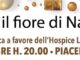 Iris-il-fiore-di-Natale-giovedi-7-dicembre-cena-benefica