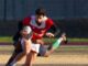 piacenza rugby