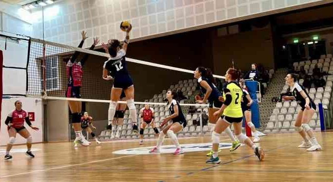miovolley