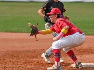 piacenza baseball