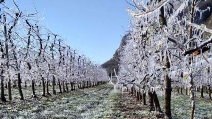 Freddo anche nel piacentino con temperature sotto lo zero, Corazzon di 3B Meteo: Situazione che proseguirà senza intensificarsi” - AUDIO