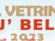 La-vetrina-piu-bella-a-Rottofreno-e-San-Nicolo-ultimi-giorni-per-voto