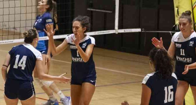miovolley