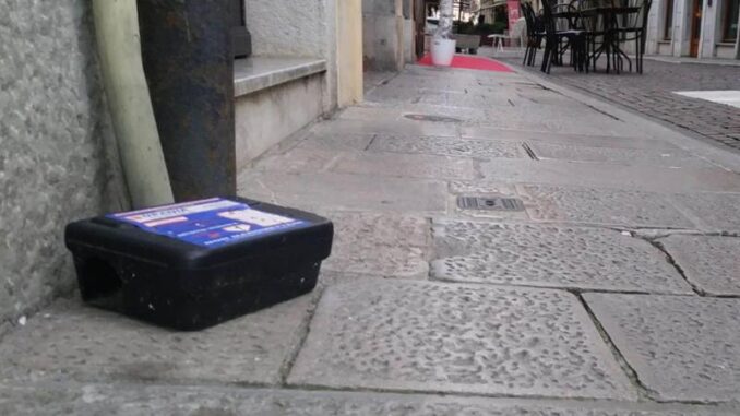 Topi-segnalati-ai-servizi-comunali-in-via-Nasalli-Rocca