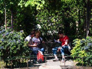 Interno-Verde-2024-a-maggio-torna-la-seconda-edizione