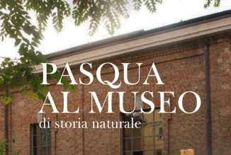 Pasqua 2024 al Museo civico di Storia Naturale