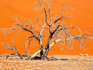 Una calda atmosfera Disastri e meraviglie