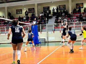 miovolley