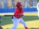 piacenza baseball