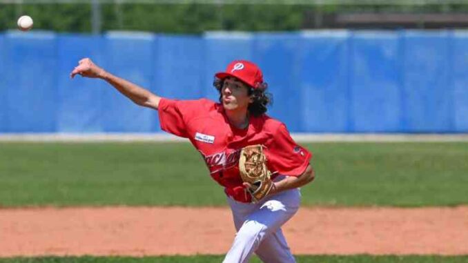 piacenza baseball