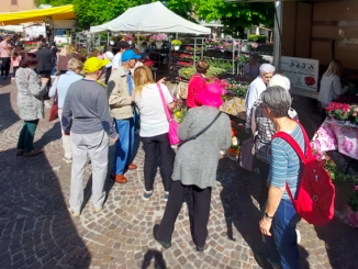 Eventi a Piacenza e dintorni fino al 7 settembre 2025