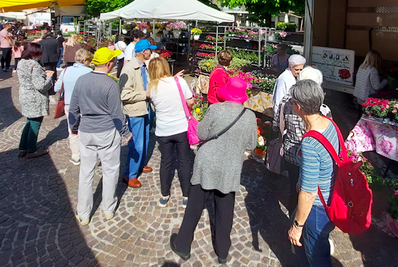 Eventi a Piacenza e dintorni fino al 7 settembre 2025