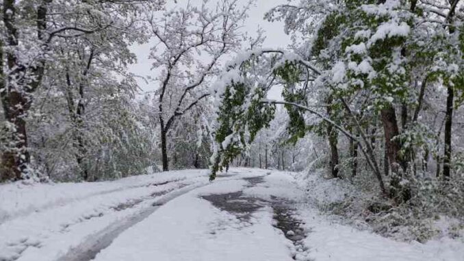 Neve fuori stagione nel piacentino