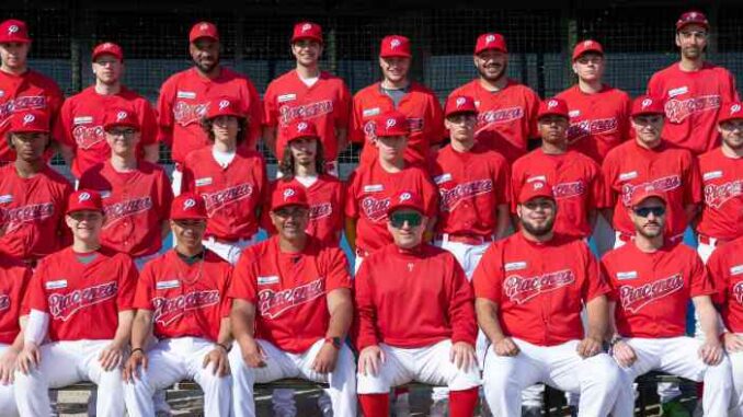 piacenza baseball