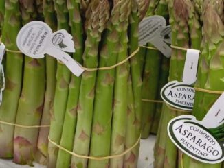 Rassegna dell'Asparago Piacentino 2024