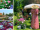 ottava edizione Frutti del Castello speciale giardini