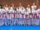karate piacenza