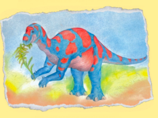 Eventi Piacenza fino al 12 maggio 2024