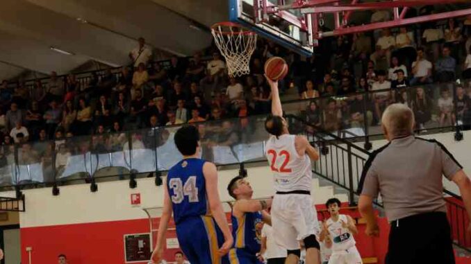 piacenza basket club