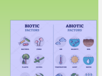 Rischi per la salute da contaminazione del cibo