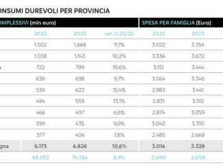 Spesa-in-beni-durevoli-Piacenza-a-9