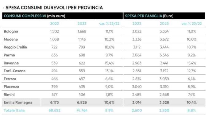 Spesa-in-beni-durevoli-Piacenza-a-9