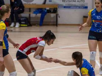 rossetti market conad