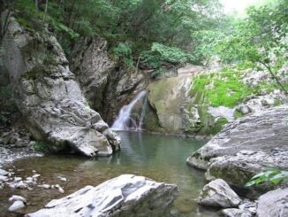 La Cura Del Bosco alle Cascate del Perino