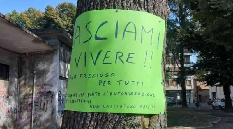 “Salviamo gli alberi in Cittadella”, la petizione online super la 2 mila firme
