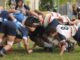 omnia rugby